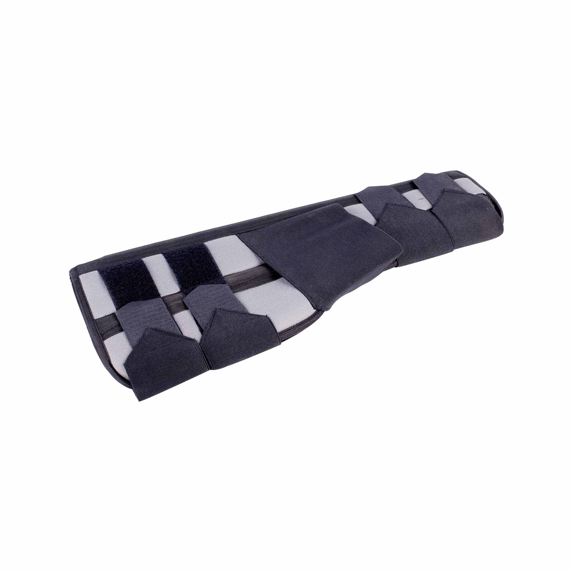 FMS0025